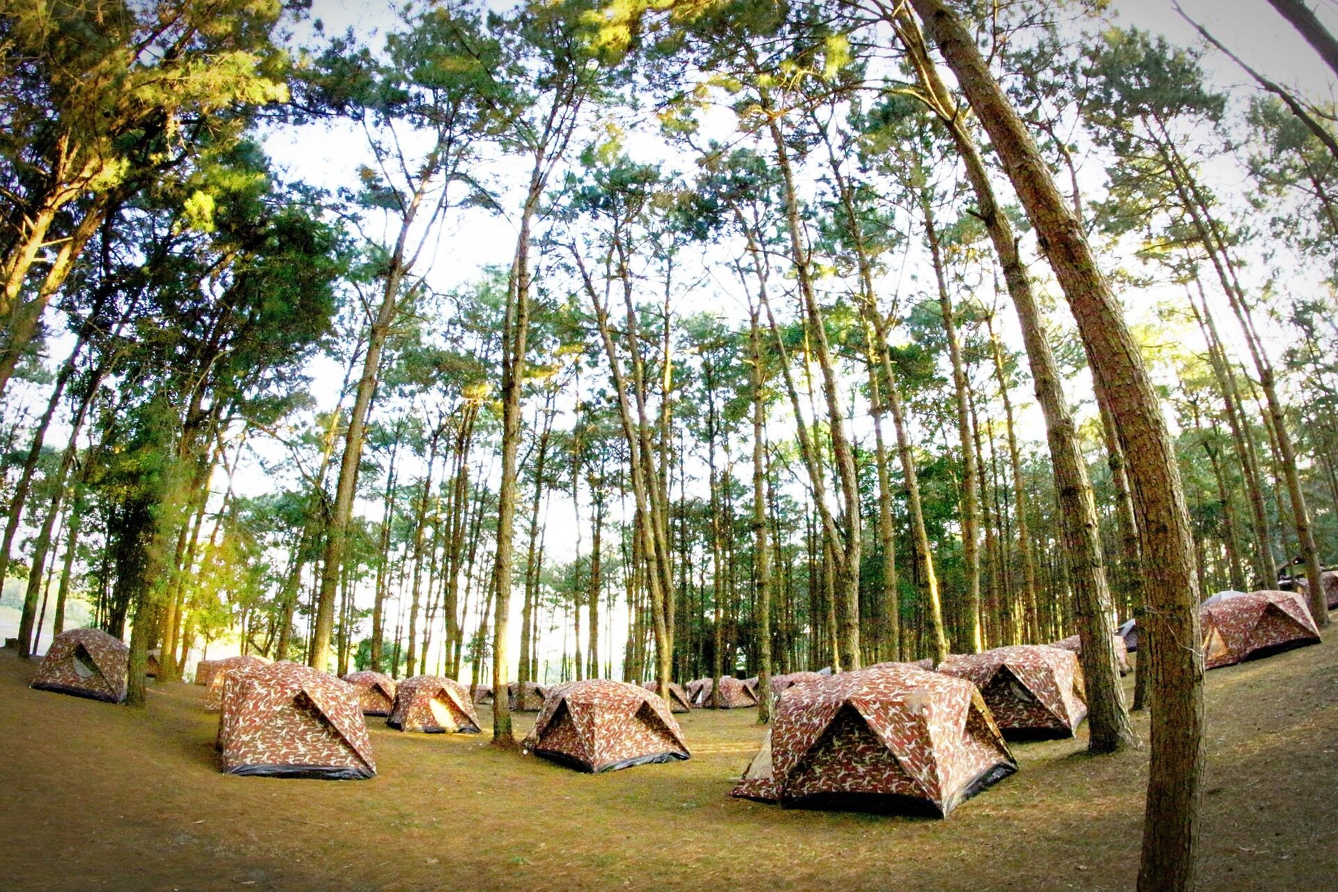 Begin your historical exploration with Phitsanulok’s tranquil ambiance